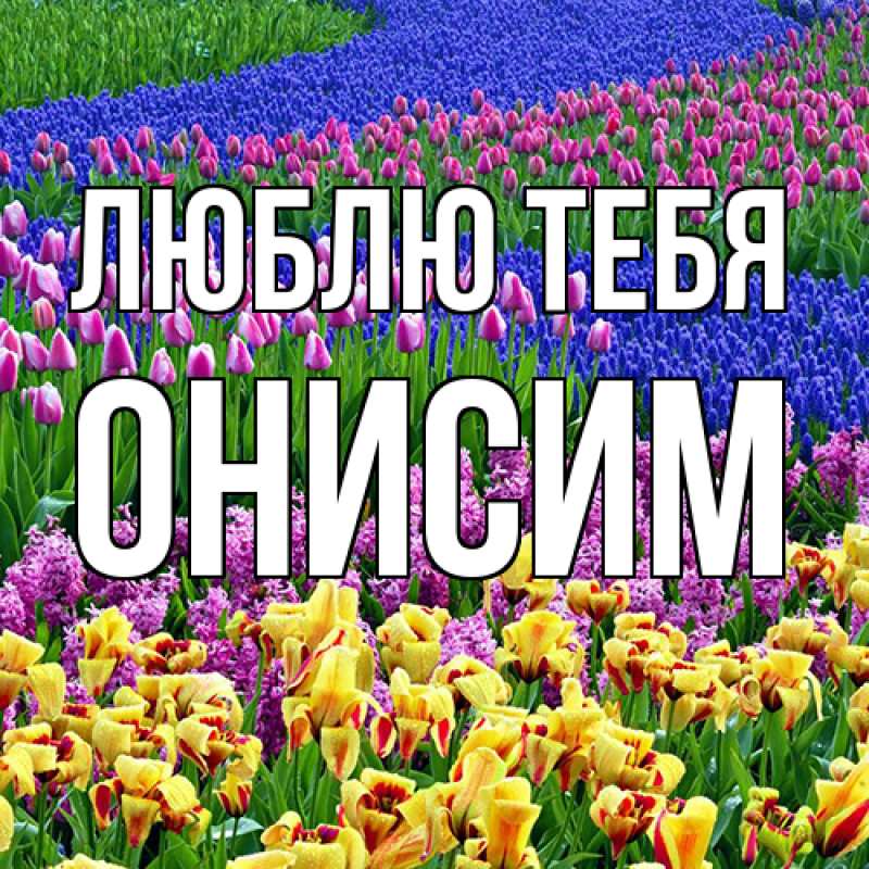 Картинка Люблю тебя, Онисим