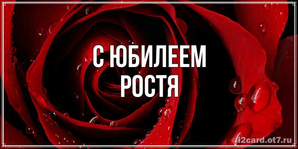 Открытка на каждый день с именем, Ростя C юбилеем крупная бордовая роза Прикольная открытка с пожеланием онлайн скачать бесплатно 
