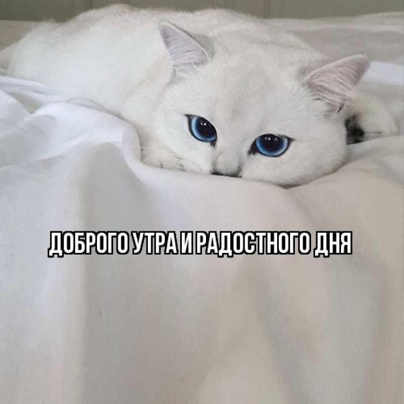 Картинка Не грусти, все будет хорошо, Ия