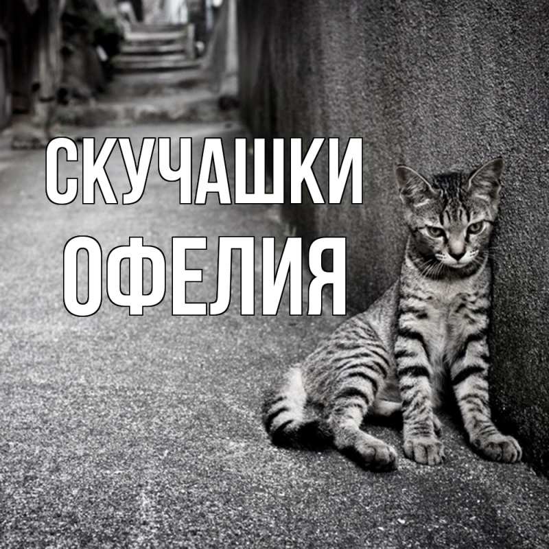 Картинка Скучашки, Офелия