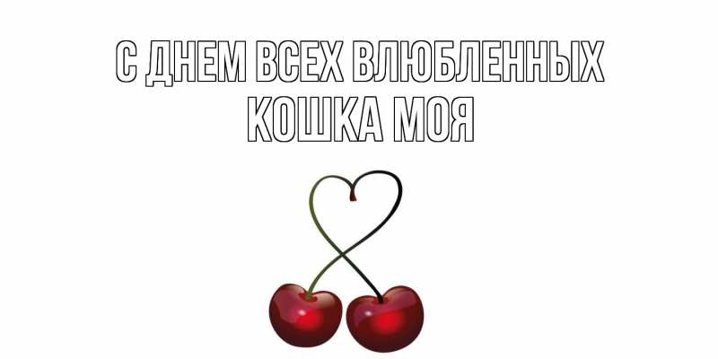 Картинка С днем всех влюбленных, Кошка моя