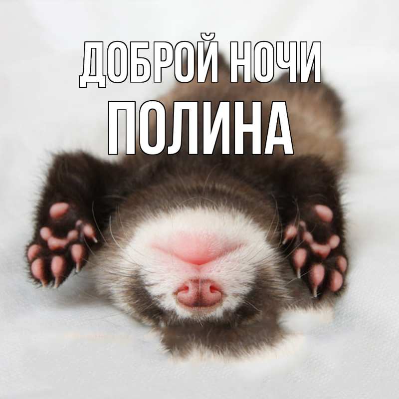 Картинка Доброй ночи, Полина