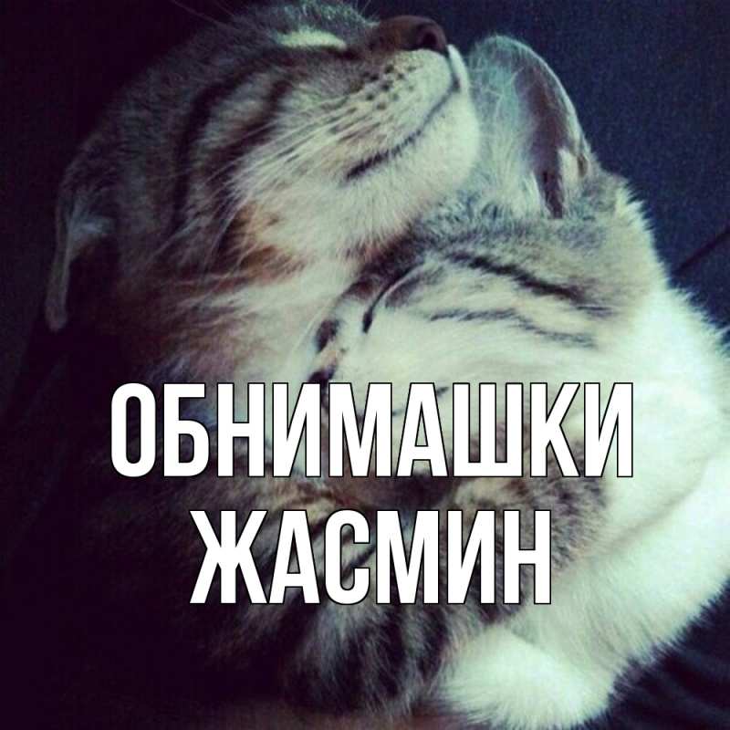 Открытка с именем, Жасмин, Обнимашки