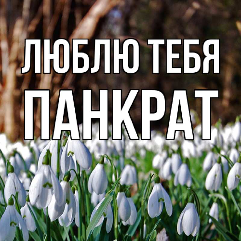 Открытка с именем, Панкрат, Люблю тебя