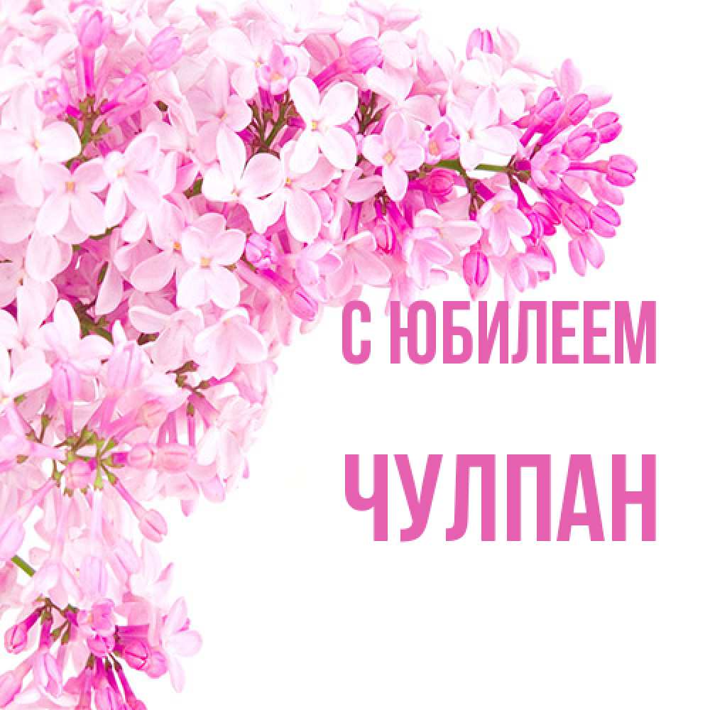 Открытка на каждый день с именем, Чулпан C юбилеем Сирень на белом фоне Прикольная открытка с пожеланием онлайн скачать бесплатно 