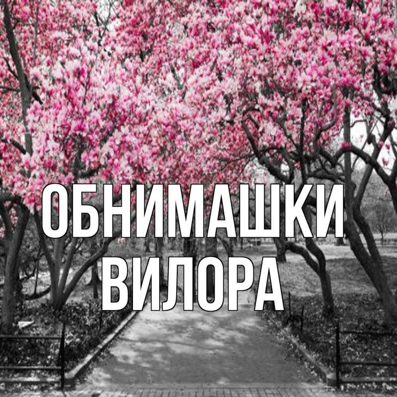 Картинка Обнимашки, Вилора