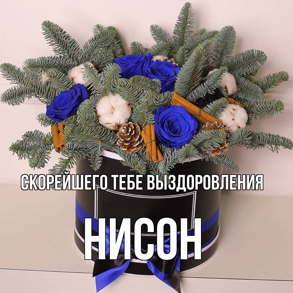 Открытка на каждый день с именем, Нисон Скорейшего тебе выздоровления короче кто то загрузил эти шишки Прикольная открытка с пожеланием онлайн скачать бесплатно 