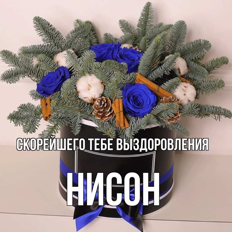 Картинка Скорейшего тебе выздоровления, Нисон