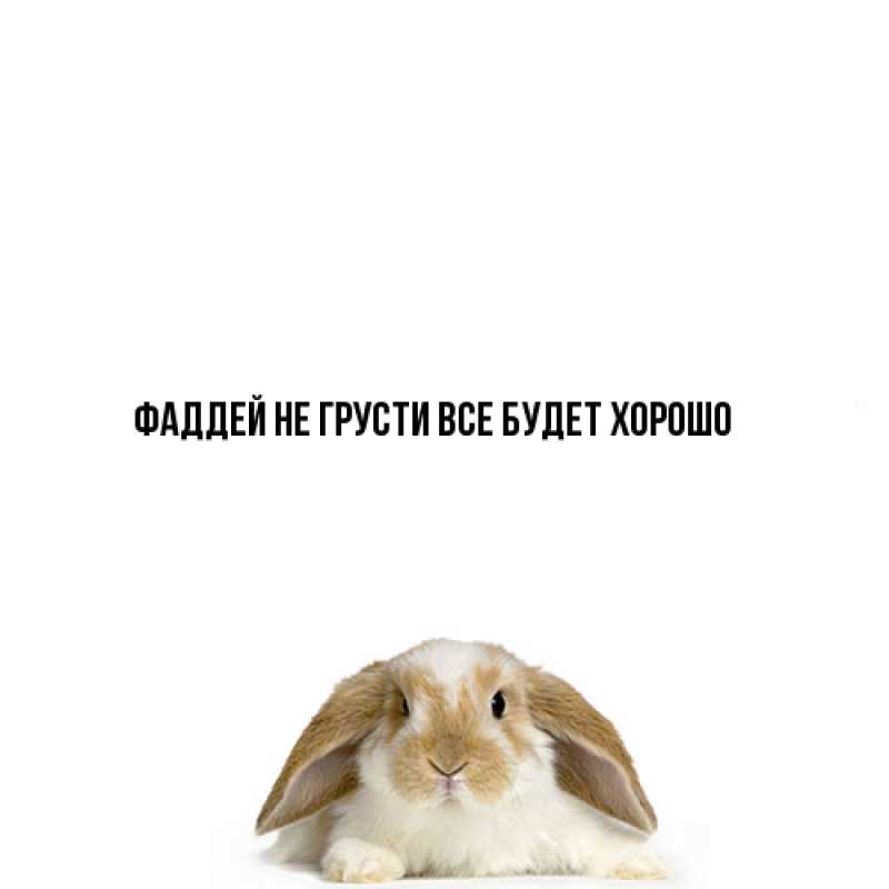 Картинка Не грусти, все будет хорошо, Фаддей