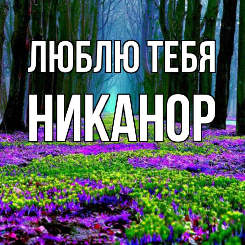 Картинка Люблю тебя, Никанор