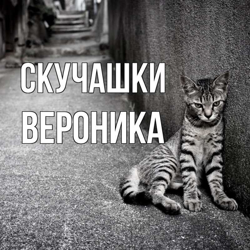 Открытка с именем, Вероника, Скучашки