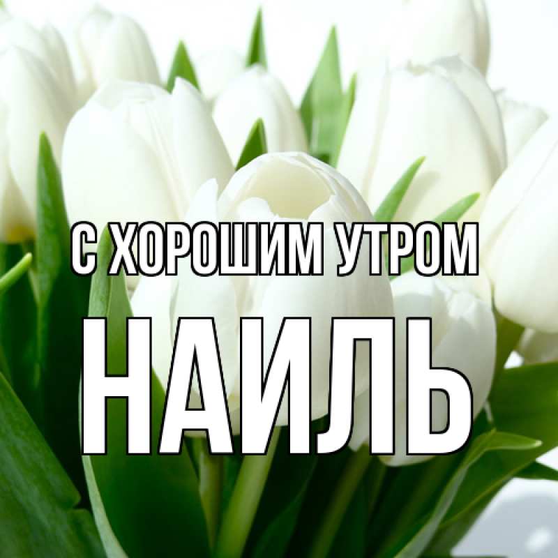 Картинка С хорошим утром, Наиль