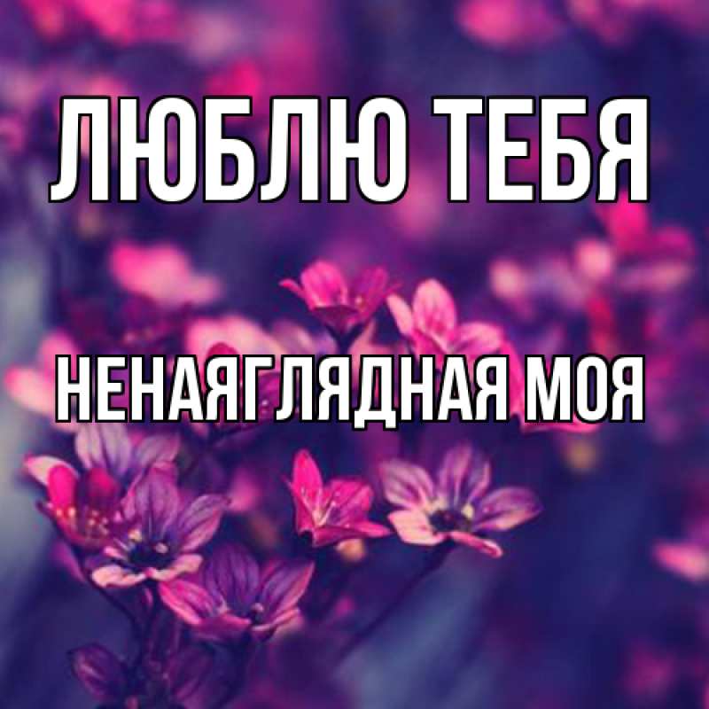 Картинка Люблю тебя, Ненаяглядная моя