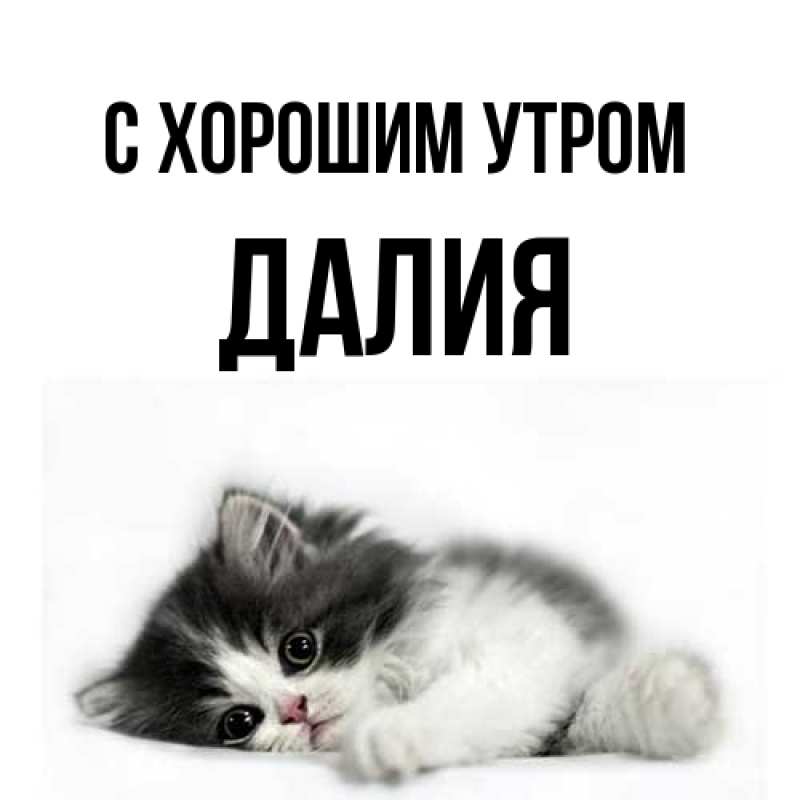 Картинка С хорошим утром, Далия