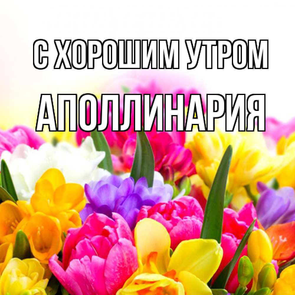 Открытка на каждый день с именем, Аполлинария С хорошим утром создать открытку со свое подписью Прикольная открытка с пожеланием онлайн скачать бесплатно 