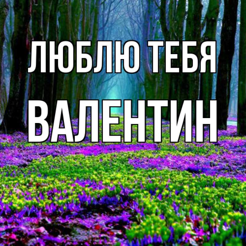 Картинка Люблю тебя, Валентин