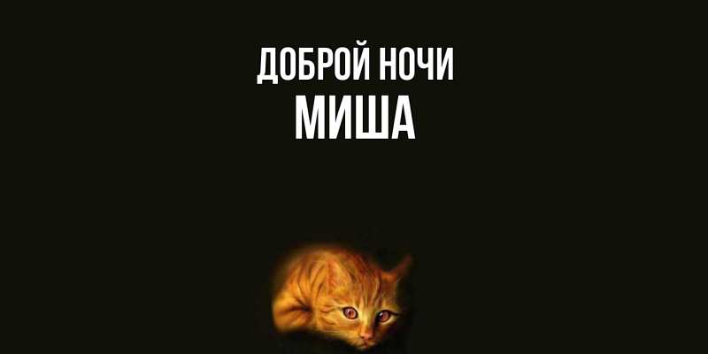 Картинка Доброй ночи, Миша
