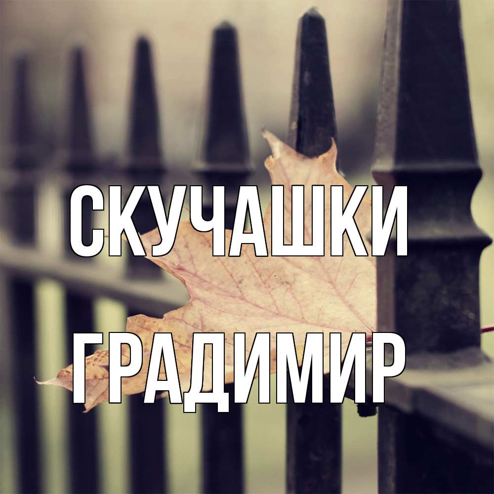 Открытка на каждый день с именем, Градимир Скучашки очень скучно Прикольная открытка с пожеланием онлайн скачать бесплатно 