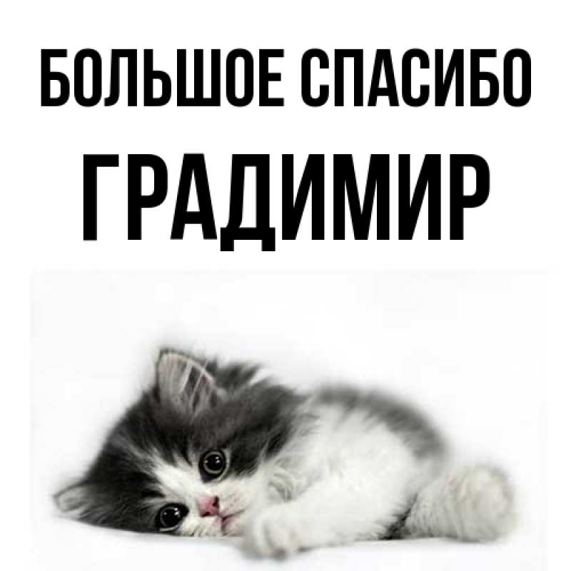 Картинка Большое спасибо, Градимир