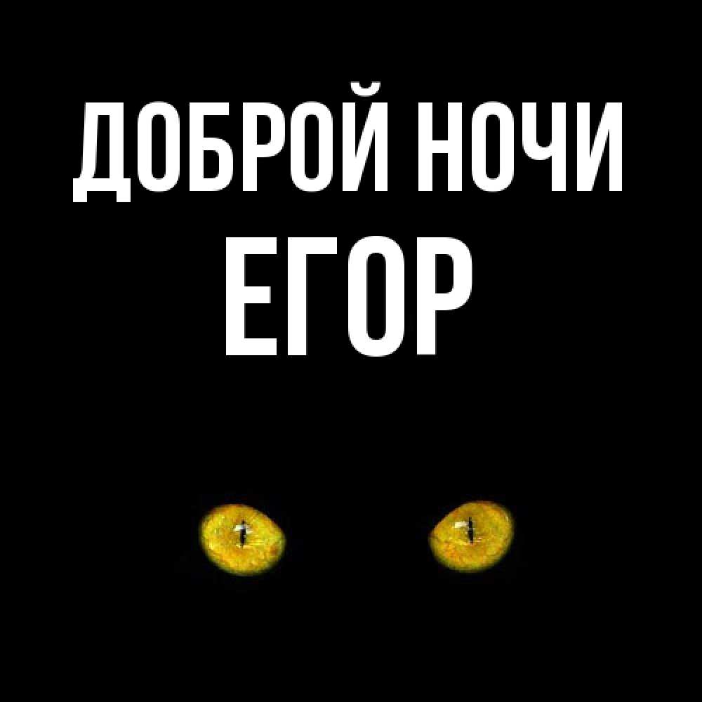 Открытка на каждый день с именем, Егор Доброй ночи сладких снов бесстрашный мой дружочек Прикольная открытка с пожеланием онлайн скачать бесплатно 