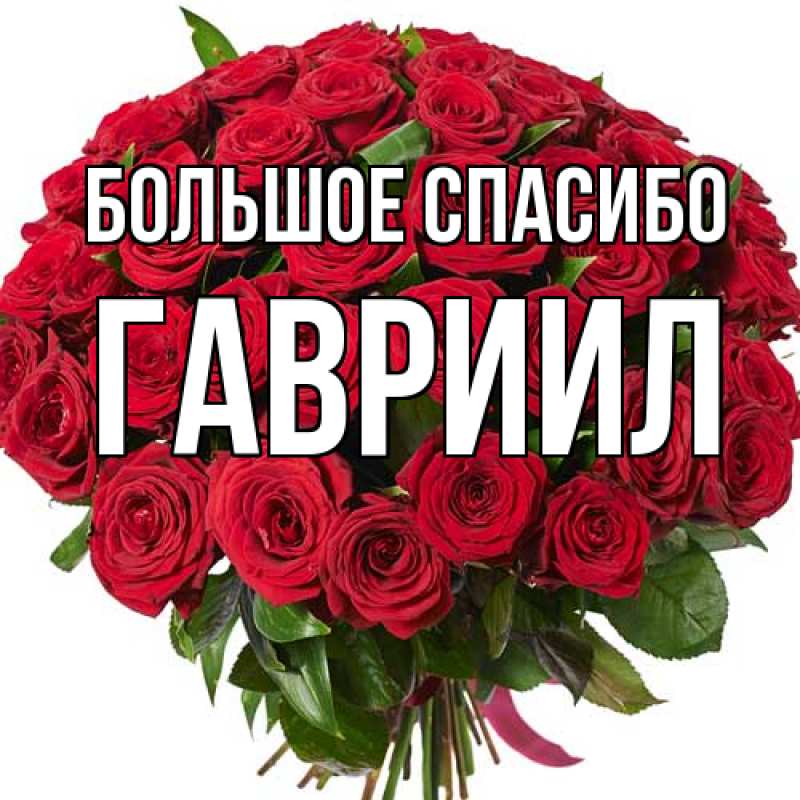 Картинка Большое спасибо, Гавриил