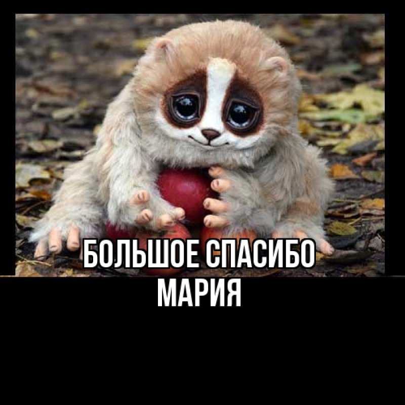 Картинка Большое спасибо, Мария