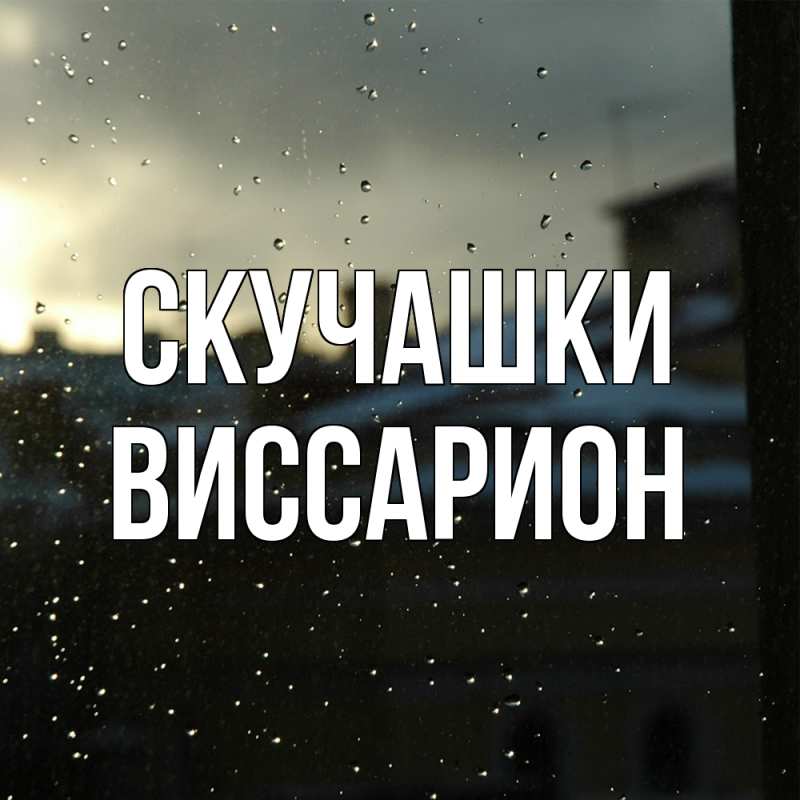 Картинка Скучашки, Виссарион