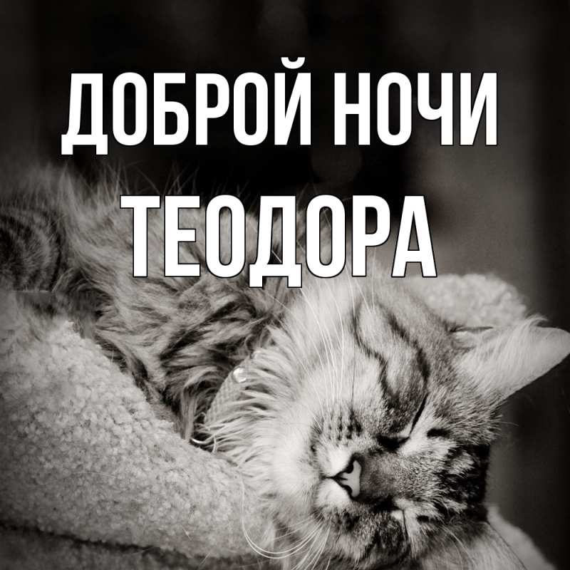 Картинка Доброй ночи, Теодора