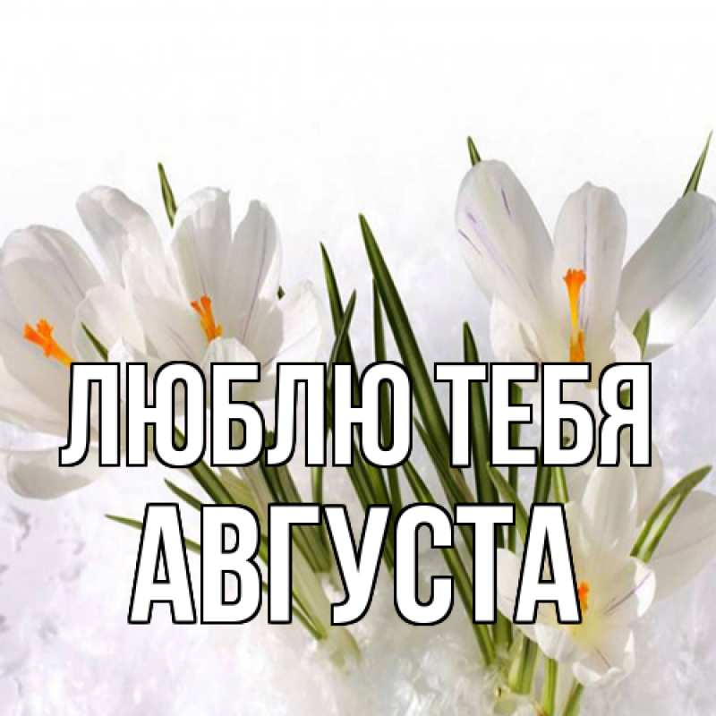 Картинка Люблю тебя, Августа