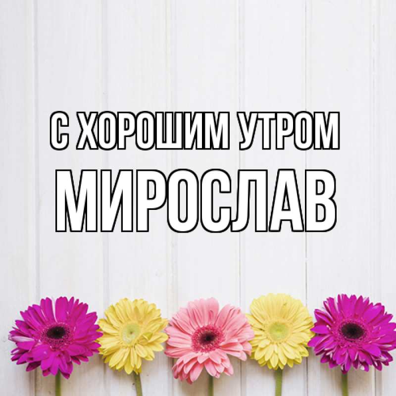 Картинка С хорошим утром, Мирослав
