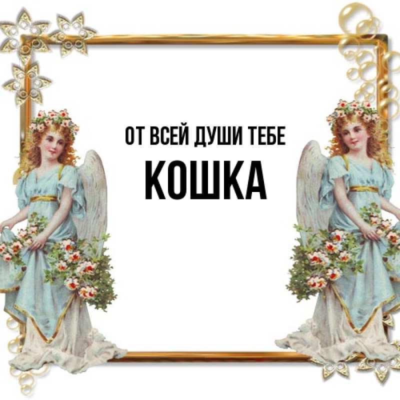 Картинка От всей души тебе, Кошка