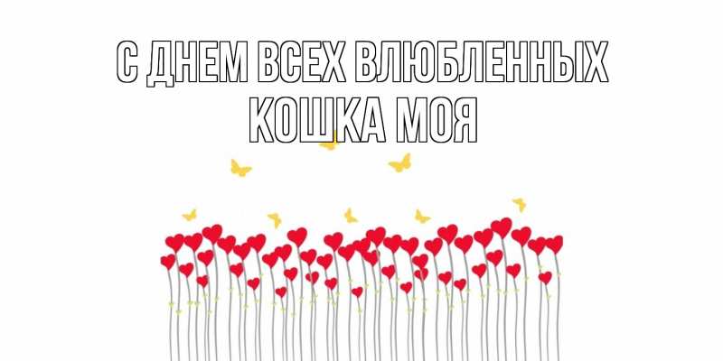 Картинка С днем всех влюбленных, Кошка моя
