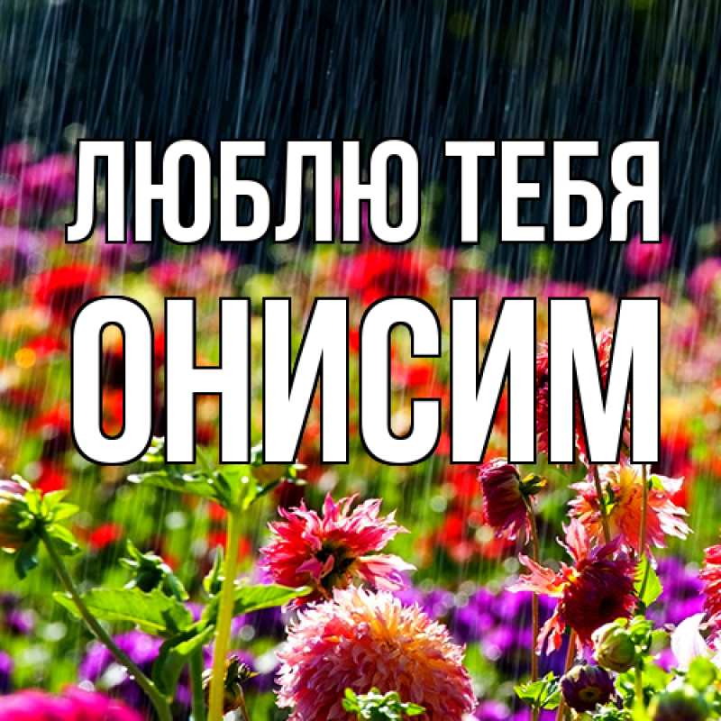 Картинка Люблю тебя, Онисим