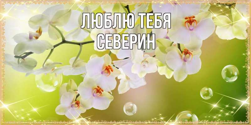 Картинка Люблю тебя, Северин