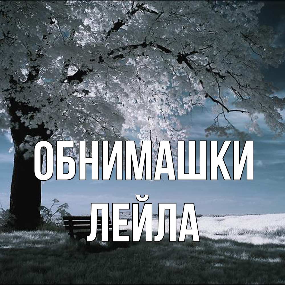 Открытка на каждый день с именем, Лейла Обнимашки дерево Прикольная открытка с пожеланием онлайн скачать бесплатно 