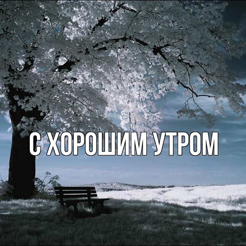 Картинка Обнимашки, Лейла