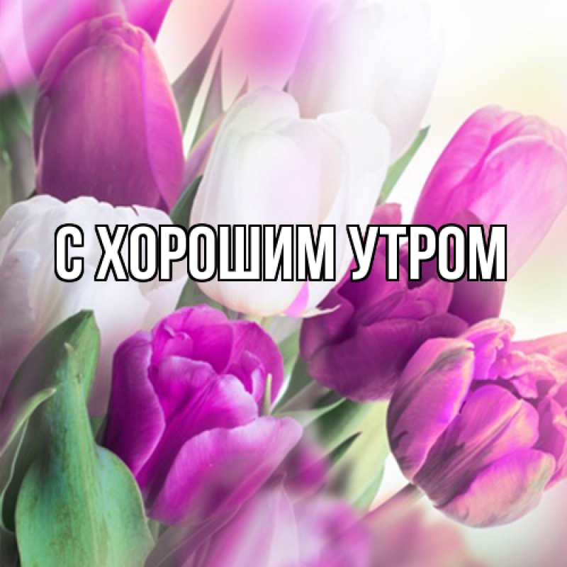 Картинка Люблю тебя, Таня
