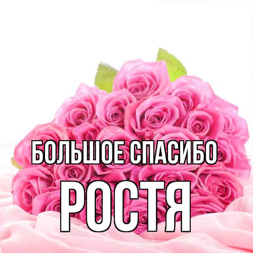 Открытка на каждый день с именем, Ростя Большое спасибо розовые розы с подписью Прикольная открытка с пожеланием онлайн скачать бесплатно 
