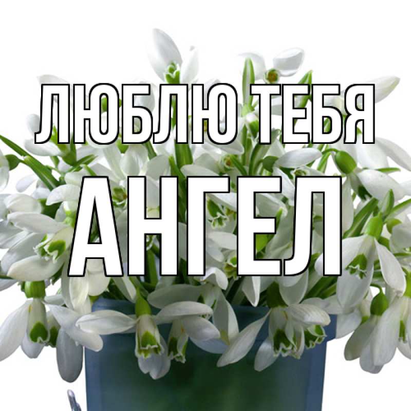 Картинка Люблю тебя, Ангел