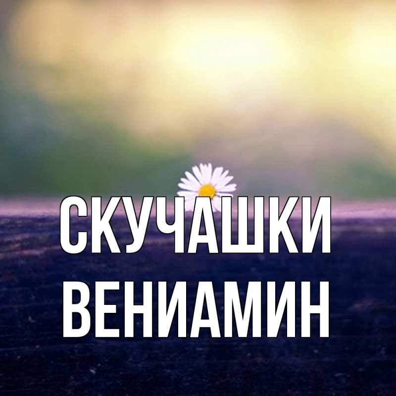 Картинка Скучашки, Вениамин