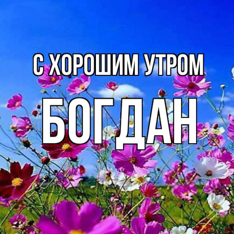 Открытка с именем, Богдан, С хорошим утром