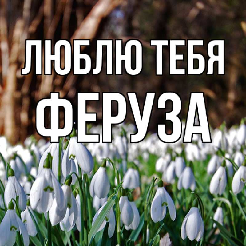 Картинка Люблю тебя, Феруза