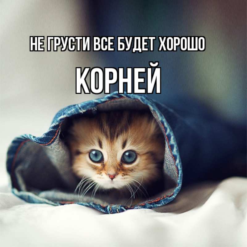 Открытка с именем, Корней, Не грусти все будет хорошо