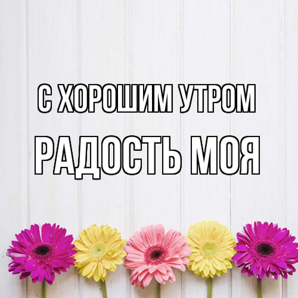 Открытка на каждый день с именем, Радость-моя С хорошим утром красный желтый и розовый цветок Прикольная открытка с пожеланием онлайн скачать бесплатно 