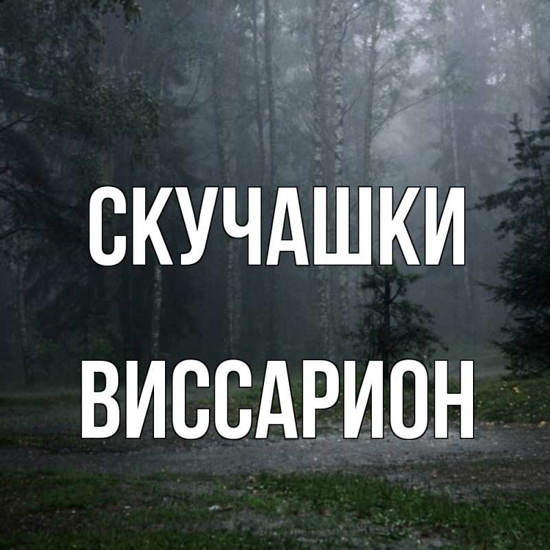 Картинка Скучашки, Виссарион