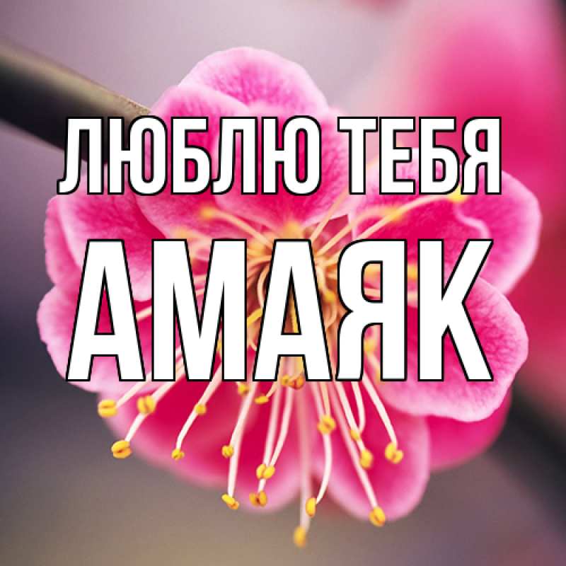 Открытка с именем, Амаяк, Люблю тебя