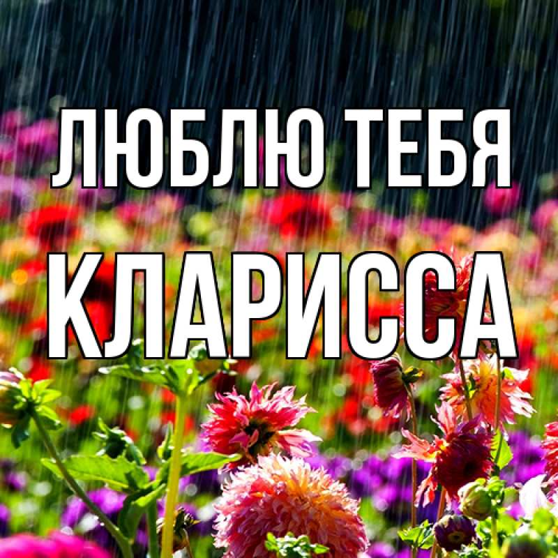 Картинка Люблю тебя, Кларисса