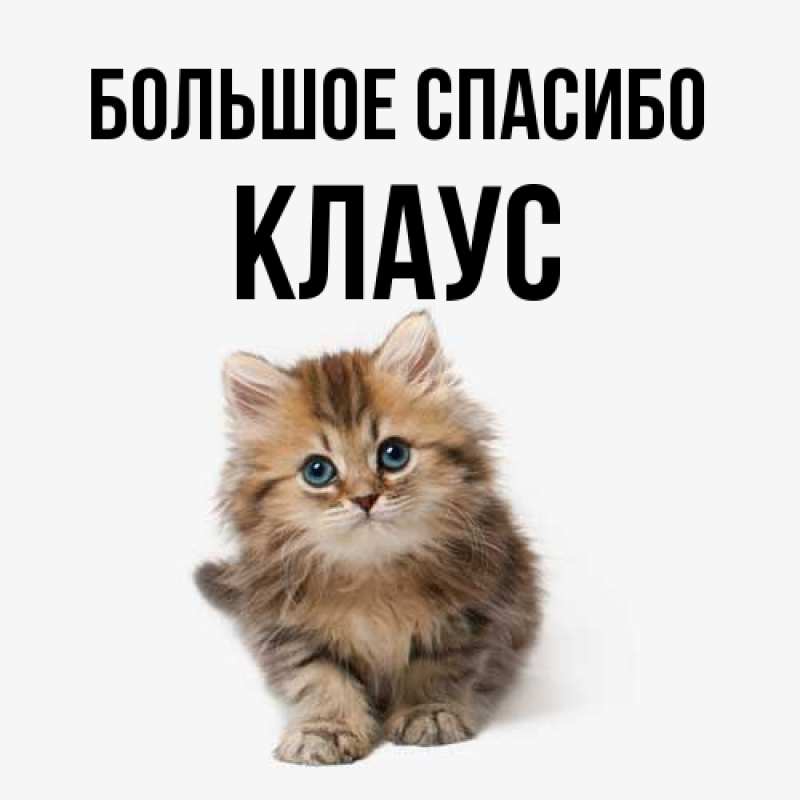 Открытка с именем, Клаус, Большое спасибо