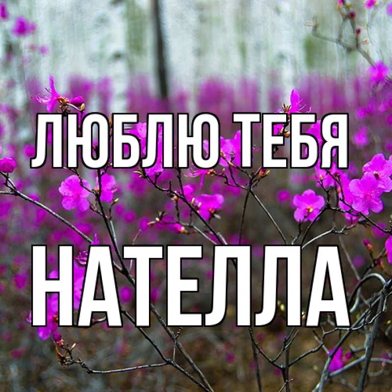 Картинка Люблю тебя, Нателла