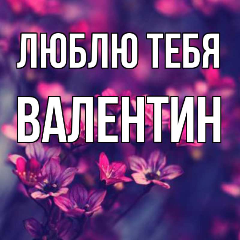 Картинка Люблю тебя, Валентин